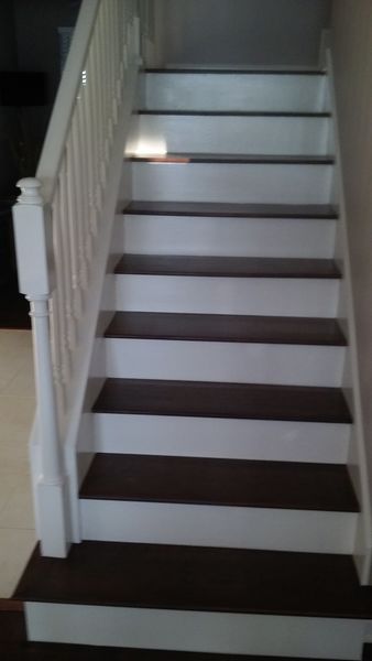 Interior Steps Painting in Lutz, FL (1)
