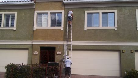 Exterior Painting in Lutz, FL (1)