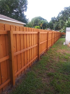 Fence Staining in Tampa, FL (2)