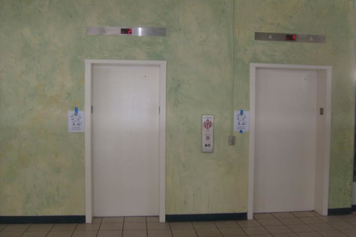 Commercial Venetian Plaster Senior Home Facility elevators in downtown Tampa