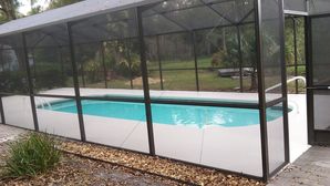Pool Deck Staining in Tampa, FL (1)