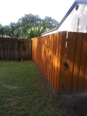 Fence Staining in Tampa, FL (1)