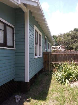 Exterior Painting in Tampa, FL (2)